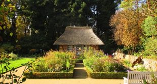 Bild Bauerngarten